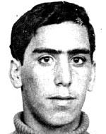 מקס מלכה